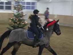 IMG_3014_web